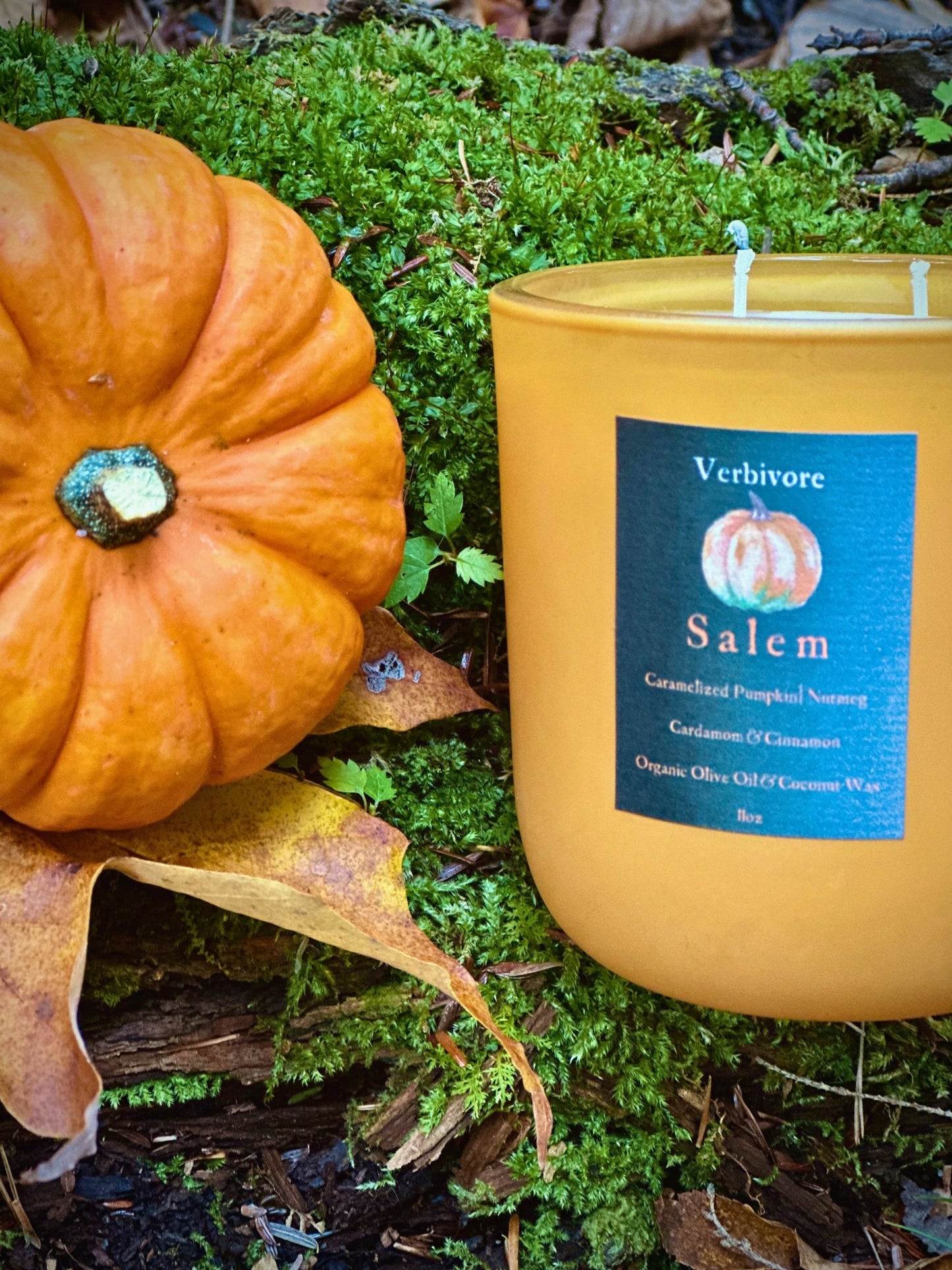 Salem | Olive & Coconut Wax Blend Candle - Verbivore Candles