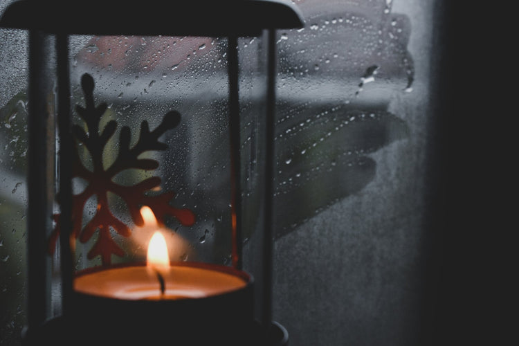 The Chrysalis Collection - Verbivore Candles