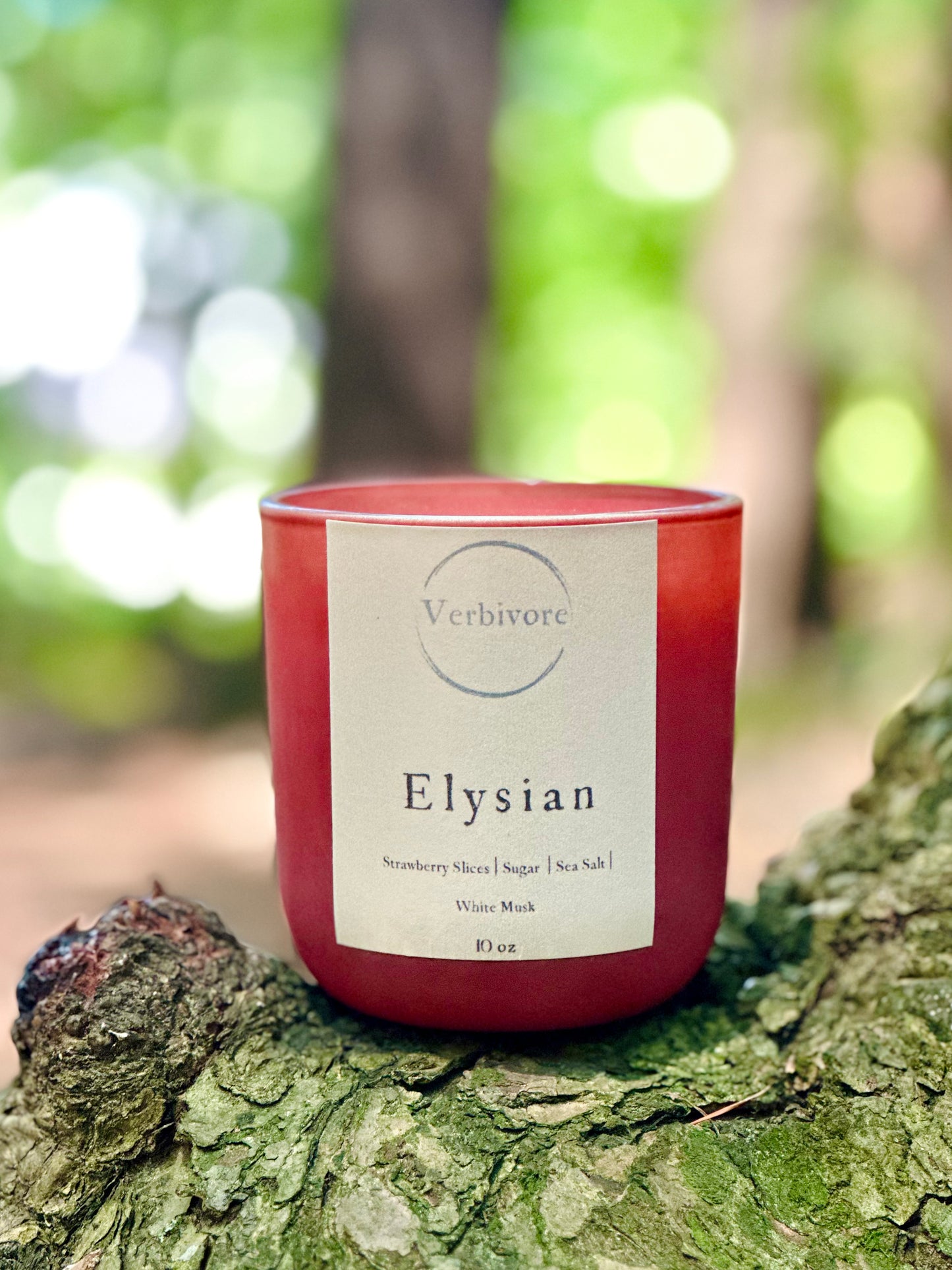 Elysian | Olive & Coconut Wax Blend Candle