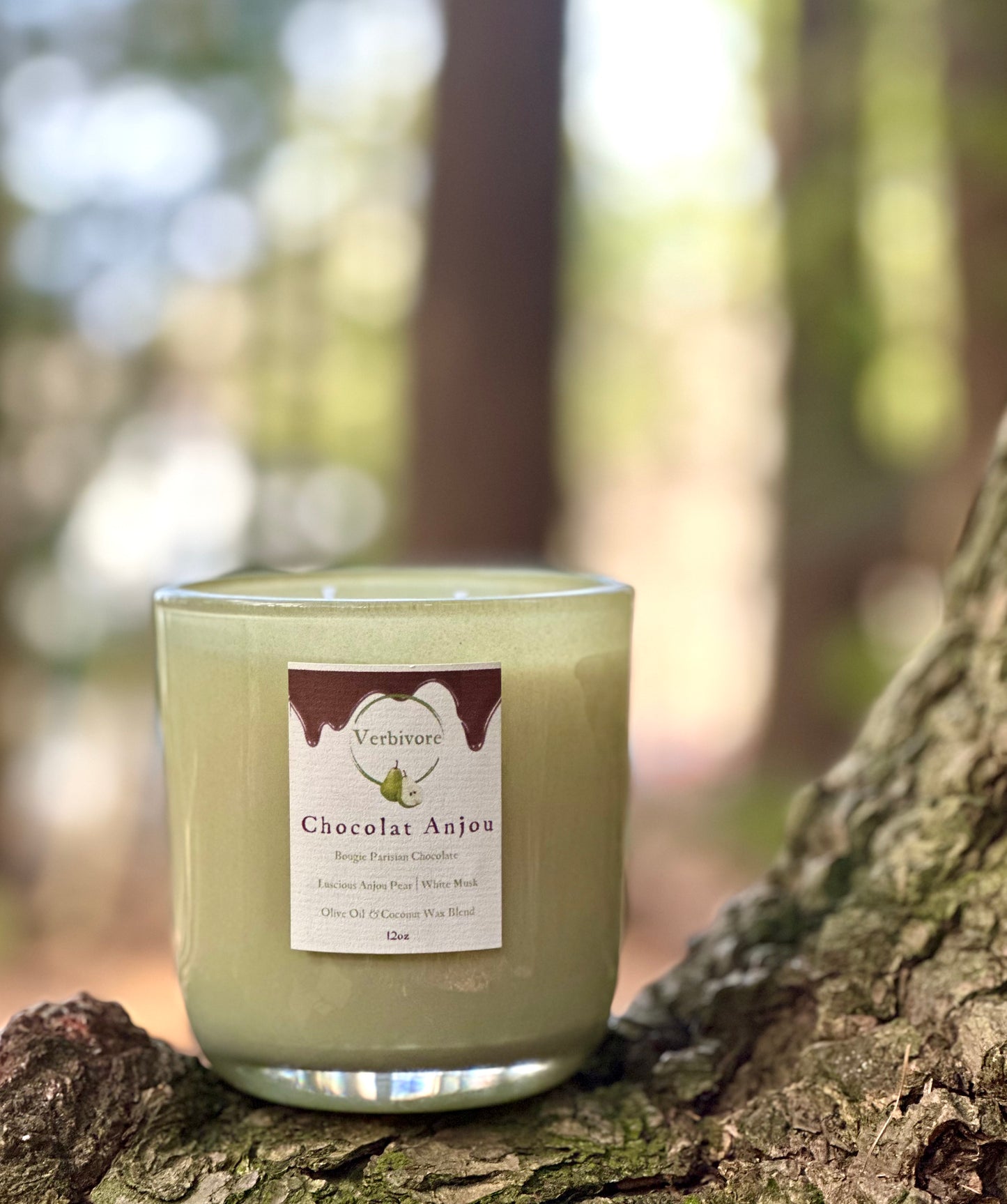 Chocolat Anjou | Olive & Coconut Wax Blend Candle