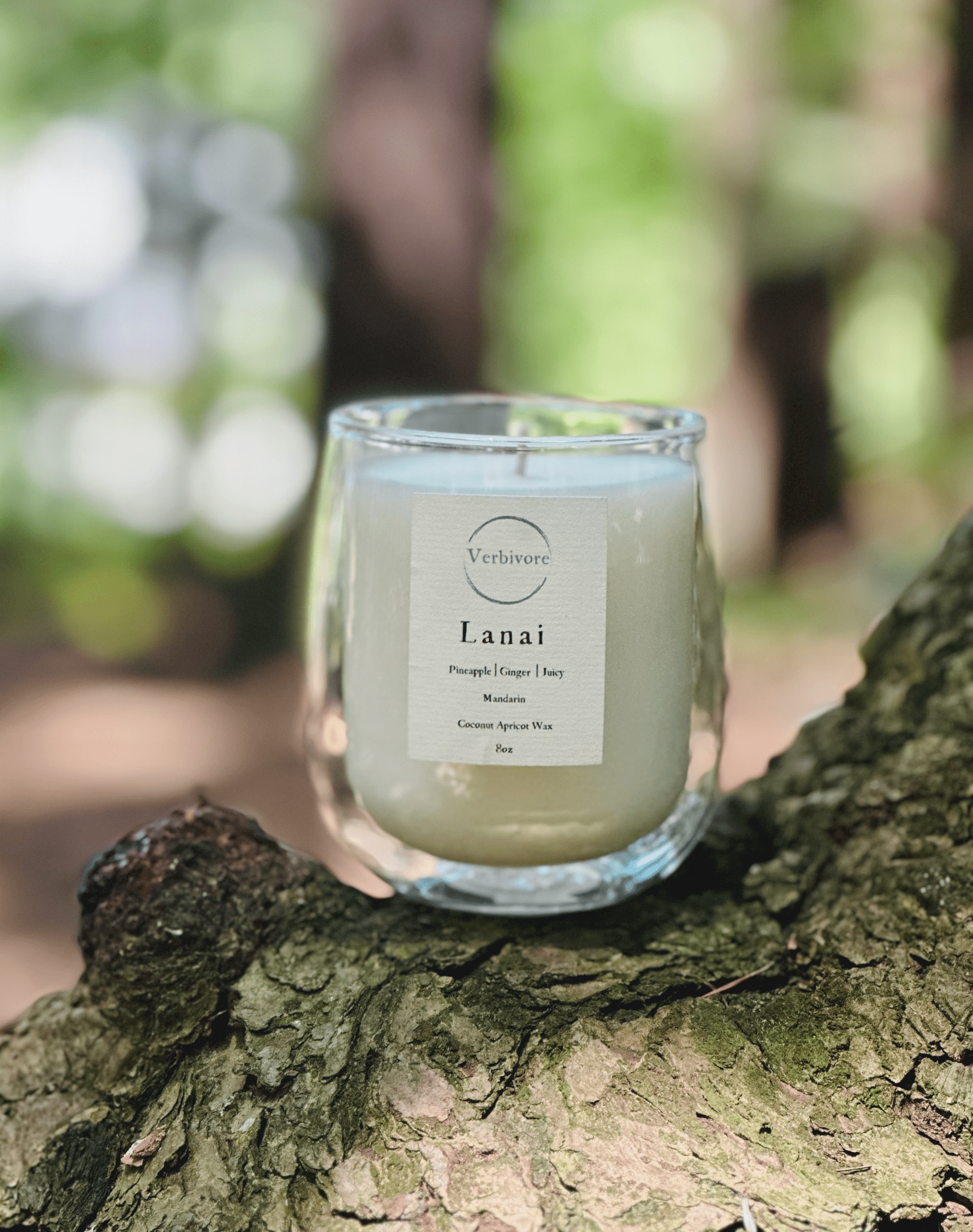 Lanai | 8 oz Apricot - Coconut Wax Candle - Verbivore Candles