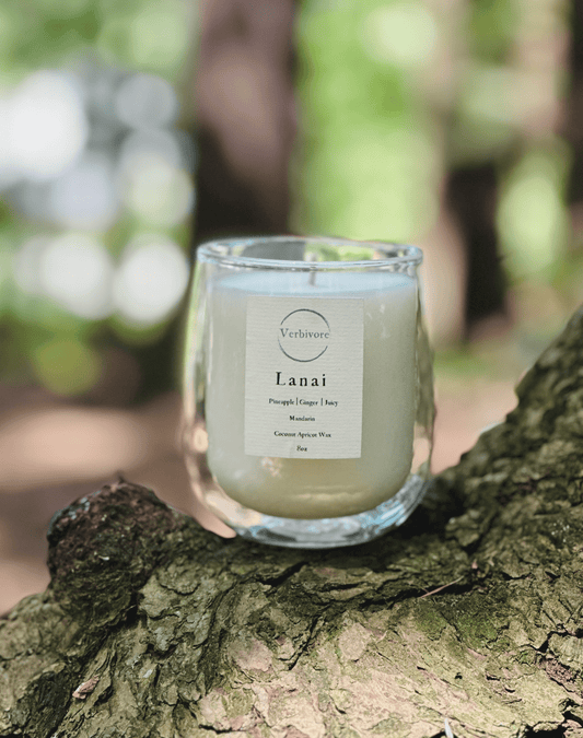 Lanai | 8 oz Apricot - Coconut Wax Candle - Verbivore Candles