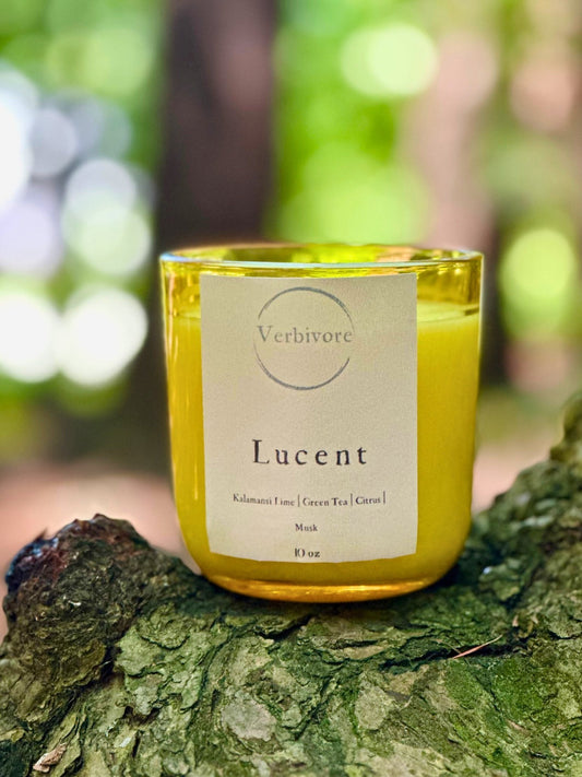 Lucent | Olive & Coconut Wax Blend Candle - Verbivore Candles
