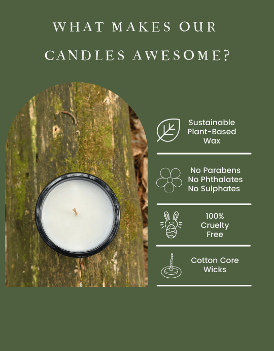 Sylvan | Olive & Coconut Wax Blend Candle - Verbivore Candles